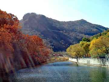 管家婆免费正版资起大全，国产耐磨板